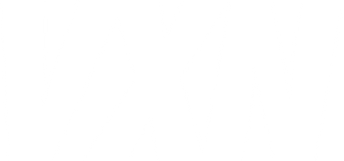 VXN logo